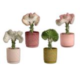 Euphorbia lactea in Keramik Verschiedene Keramikfarben Lidl 1 Stück