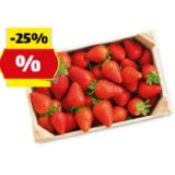 HOFER Marktplatz Erdbeeren in der Steige HOFER 900 Gramm 1 Packung