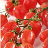 S-BUDGET süß fruchtige Tomaten Datterini SPAR 500 Gramm 1 Packung