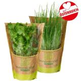 Promotion Bild von Echt Bio Kräuter Töpfe div. Sorten Penny 1 Stück
