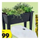 Belavi Hochbeet inkl. Haube HOFER 1 Stück