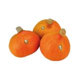 Bild von natürlich für uns Bio Kürbis Hokkaido Unimarkt 1 Kilogramm