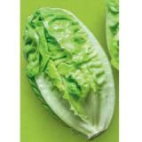 HOFER Marktplatz Bio-Salatherzen HOFER 2 Stück