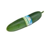 Spar Natur pur Knackige Bio-Feldgurke INTERSPAR 1 Stück