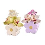 2er Orchideenblüte in Blumenkeramik Lidl 1 Stück