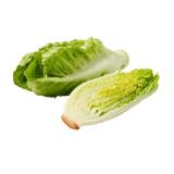 Bio Mini Romana Salat Lidl 2 Stück