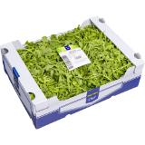 Promotion Bild von Metro Chef Rucola lose, Preisangabe ohne MwSt. (Preis inkl. MwSt. 7,69 €), METRO 1 Kilogramm