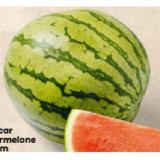 Bild von SanLucar Wassermelone kernarm BILLA PLUS 1 Kilogramm