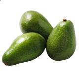 Avocados Penny 700 Gramm 1 Netz
