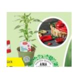 Zurück zum Ursprung Bio-Paprika-/Chilirarität versch. Sorten HOFER 1 Stück