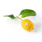 BILLA GENUSSWELT Amalfi-Zitronen unbehandelt BILLA PLUS 1 Stück