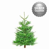 Promotion Bild von Plantiflor Nordmanntanne „Silber-Qualität“, 130-150 cm 908654 HELLWEG 1 Stück