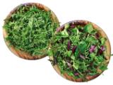 Mix-Salat oder Rucola Lidl  125 Gramm