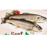 Kärnten Fisch Bachsaibling INTERSPAR 100 Gramm