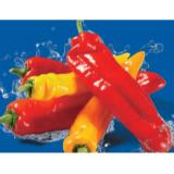 Spitzpaprika Mix Lidl APP Preis 500 Gramm