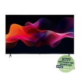 Sharp 65“ (164cm) 4K Ultra HD QLED Smart TV 65HM5245E HOFER 1 Stück