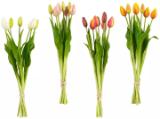 Tulpenbund 50790016 XXXLutz