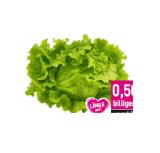 Mahlerhof Ländle Eissalat gelb Sutterlüty 1 Stück