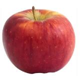 Gala Äpfel MPREIS 1 Kilogramm