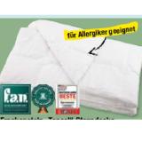 Promotion Bild von f.a.n. Frankenstolz „Tencel“ Steppdecke Maximarkt 1 Stück