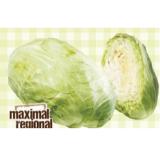 Eferdinger Braunschweiger Kraut Maximarkt 1 Kilogramm