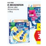 Blue Star WC Beckenstein versch. Sorten HOFER 50 Gramm 3 Stück