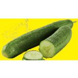 Bio Gurke Lidl APP Preis 1 Stück