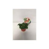 Plantiflor Gourmet-Erdbeere versch. Sorten 350025 HELLWEG 1 Stück