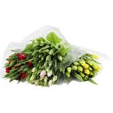 Tulpen, Preisangabe ohne MwSt. (Preis inkl. MwSt. 8,35 €), METRO 20 Stück