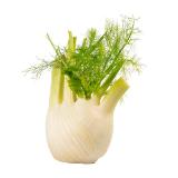 Ja! Natürlich frischer Bio-Fenchel BILLA PLUS 1 Stück