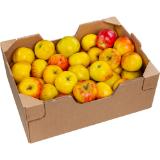 BIO Äpfel Gala oder Topaz, Preisangabe ohne MwSt. (Preis inkl. MwSt. 4,39 €), METRO 1 Kilogramm