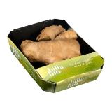 BILLA Bio Bio-Ingwer BILLA PLUS 150 Gramm 1 Packung