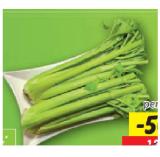 Promotion Bild von Bio Stangenensellerie Lidl 1 Stück
