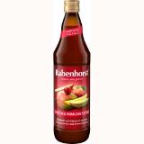 Rabenhorst Direktsaft Immunsystem dm 700 Milliliter 1 Flasche