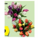 Tulpen Rainbow verschiedenen  Blütenfarben HOFER 14 Stück