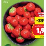 HOFER Marktplatz Gourmet Erdbeeren HOFER 250 Gramm 1 Packung
