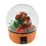 Weihnachten im 23-cm-Topf BayWa 1 Stück