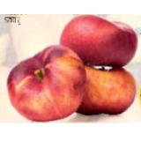 Promotion Bild von HOFER Marktplatz Flachnektarinen HOFER 500 Gramm 1 Packung