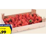 HOFER Marktplatz Erdbeeren HOFER 900 Gramm 1 Packung