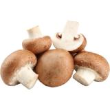 Promotion Bild von Champignons Weiss od. Braun Penny 500 Gramm 1 Packung