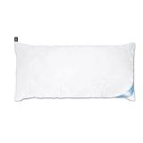 Livarno Kopfpolster, 40 x 80 cm Lidl 1 Stück