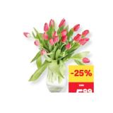 Tulpen MPREIS 15 Stück
