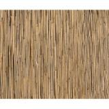 Floraworld Schilfrohrmatte 90 cm x 600 cm OBI 1 Stück