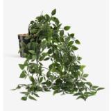 Kunstpflanze OLIVER 4912476 JYSK 1 Stück