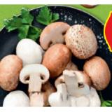 HOFER Marktplatz Champignons weiß oder braun HOFER 500 Gramm 1 Packung