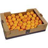 Pressorangen unbehandelt, Preisangabe ohne MwSt. (Preis inkl. MwSt. 1,97 €), METRO 1 Kilogramm