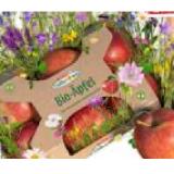 Spar Natur pur knackiger Bio-Äpfel „Bee Wild“ SPAR 1 Kilogramm