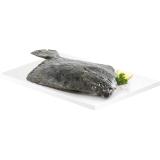 Bild von Steinbutt, Preisangabe ohne MwSt. (Preis inkl. MwSt. 23,09 €), METRO 1 Kilogramm