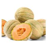 SPAR süße-saftige Cantaloupe Melone SPAR 1 Stück