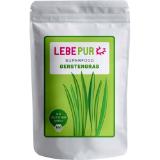 Lebepur Superfood Gerstengras Pflanzenpulver dm 125 Gramm 1 Beutel